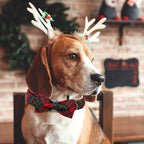 Dog Collar, Christmas Plaid Pet Collar Bow Holiday Bows Girl Boy Bow Dog - Image 5