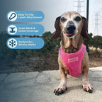 Best Pet Supplies - Image 5