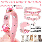 EXPAWLORER Valentine's Day Leather Cat Collar - Image 4
