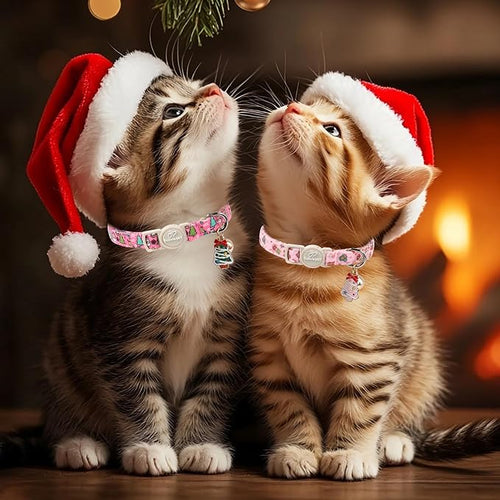 2 Pack Christmas Cat Collars - Image 2