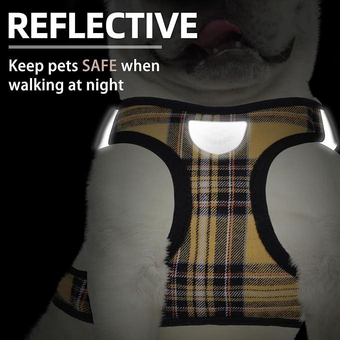 PUPTECK Adjustable Dog Harness Collar and Leash Set Step in No Pull Pet Harness - Image 5
