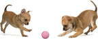 Snug Rubber Dog Balls for Small and Medium Dogs - Image 4