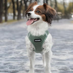 Best Pet Supplies Voyager Step-in Air Harness - Image 6