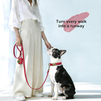 Didog Soft PU Leather Dog Collar, Stylish Quick Released Dog Collars - Image 4