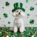 St Patricks Day Dog Collar for Puppy Small Dogs - Image 6