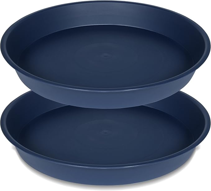 2 Pack of 8 inch Plant Saucer Clear, Heavy Duty Plastic Plant Water Tray 8 inch by Bleuhome