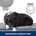 Barkbox Orthopedic Dog Bed - Image 2