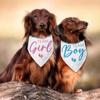 2 Packs Team Girl Team Boy Gender Reveal Baby Announcement Dog Bandana Pet - Image 5