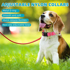 Amylove 27 Pcs Dog Collar Bulk Adjustable Nylon Puppy Collar - Image 3