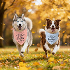 2 Pack Big Sister Big Brother Dog Bandanas, Adjustable Pet Bandana - Image 6