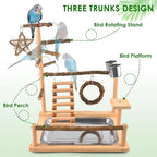 KATUMO Bird Playground - Image 2