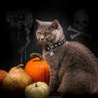 azuza 4 Pack Halloween Kitten Collar Breakaway, Quick Release Safe Buckle - Image 2