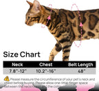 Cat Harness and Leash Set - Image 6