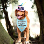 Dog Birthday Bandana Boy Happy Birthday Gifts - Image 5