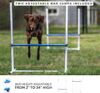 Better Sporting Dogs Agility Course Backyard Set - Image 3