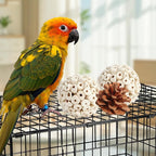 Kyouki Bird Toys Parrot Natural Bird Foraging Box Foot Toys - Image 7