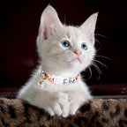 Unique style paws 2 Pack Kitten Collar Breakaway - Image 6