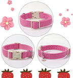 Cute Corduroy Dog Collar - Image 6