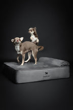 NOAH & PAW Dog Bed, Orthopedic Dog Beds - Image 3