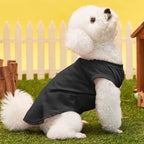 Custom Dog T-Shirts with Name for Pet Dogs, Breathable Personalized Print or - Image 5