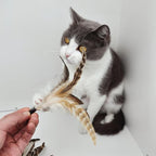 Natural unstained Feathers, Cat Feathers Refill - Image 5