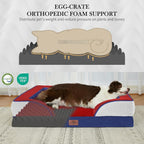 Comfort Expression Orthopedic Dog Bed - Image 3