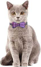 Faleela 2 Pack/Set Cat Collar - Image 4