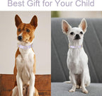 Nylon Dog Collar - Image 3