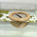 Aquarium Floating Betta Fish Skins, Betta or Shrimp Feeder, Cave and Hammock by HOZOE