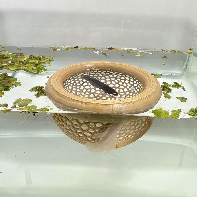 Aquarium Floating Betta Fish Skins, Betta or Shrimp Feeder, Cave and Hammock by HOZOE