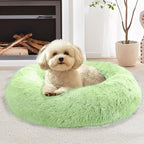 JOLLYVOGUE Calming Dog Bed for Small Dogs by JOLLYVOGUE