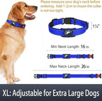Airtag Dog Collar with AirTag Holder - Image 6