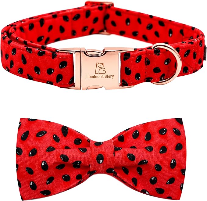 Lionheart glory Dog Collar, Watermelon Dog Collar by LionheartGlory