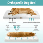 Dog Bed for Extra Large Dogs, Rectangular XL Orthopedic Dog Beds, Foam - Image 2