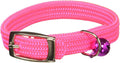 Kool Kat Elastic Cat Safety Collar by OmniPet%C2%AE