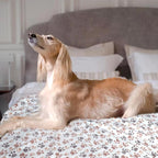Dog Blankets for Large Dogs, Soft Fluffy Flannel Pet Blanket Mat Cover for Bed - Image 7
