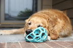 JW Pet HOL-ee Roller™, Dog Toy Puzzle Ball, Natural Rubber - Image 5