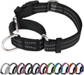 Martingale Dog Collar, Adjustable Nylon Reflective Collar by JOYEEIIOO