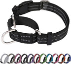 Martingale Dog Collar, Adjustable Nylon Reflective Collar by JOYEEIIOO
