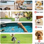 Amasiver Dog Soccer Ball Toys - Image 4