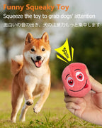 SCHITEC Squeaky Dog Toys, Soft Stuffed Plush Balls - Image 2