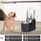 Sfozstra Large Dog Water Dispenser: 7L Raised Gravity Gray Automatic Stainless - Image 4