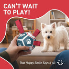 QDAN Small Dog Toys, Outdoor Indoor Toys to Keep Them Busy, Soccer Ball - Image 7