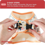 Downtown Pet Supply Step-in Dog Harness – No Pull, Adjustable Padded Mesh - Image 5