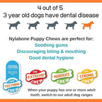 Nylabone Rubber Teether Puppy Chew Toy, Teething Toys - Image 6
