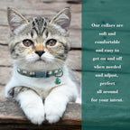 Yizepet Cat Collars, Breakaway Kitten Collar, Cute Kitty Collar in 2 Pack - Image 9