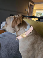 Soft Cotton Hemp Dog Collar - Image 6