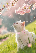 Cat Collar, Cat Collar with Bell, - Image 5