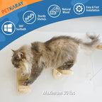 PETKARAY Cat Window Shelf, Original Cat Window Perch Stairs, Durable Kitty Seat - Image 3