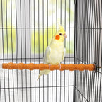 Hypeety Wood Perch Stand Paw Grinding Stick Toy Colorful Pet Bird Cage Stand - Image 5